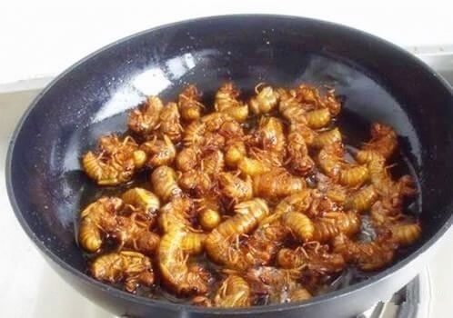 夏邑美食上了央视